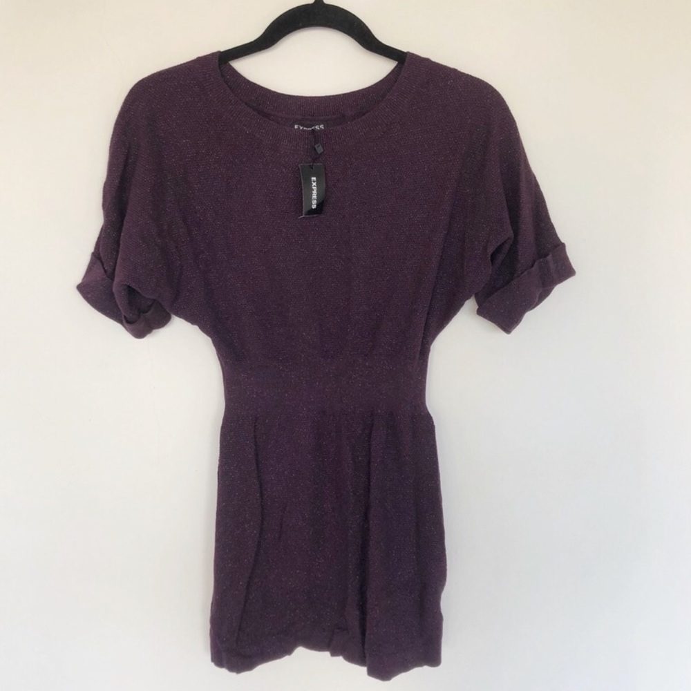 Express Shimmery Metallic Purple Tunic Top